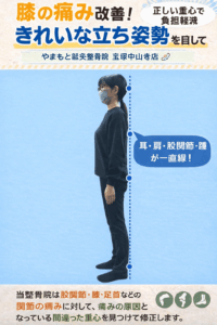 膝の痛みは“立ち姿勢と重心”が原因だった